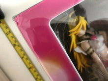 Load image into Gallery viewer, Panty＆Stocking with Garterbelt Figure 2 set box GAINAX imaishi hiroyuki
